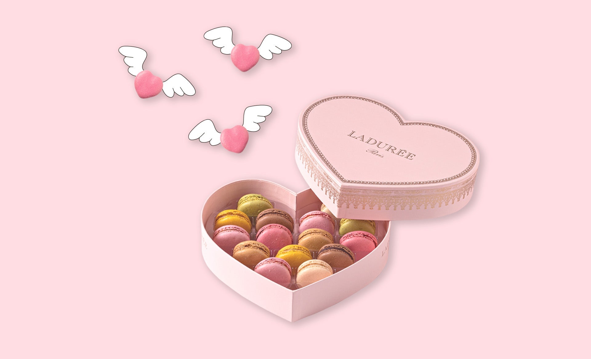 SALE!! 6TH アニバーサリー ローズ ラデュレ101 Romance in Paris | La Maison Ladurée