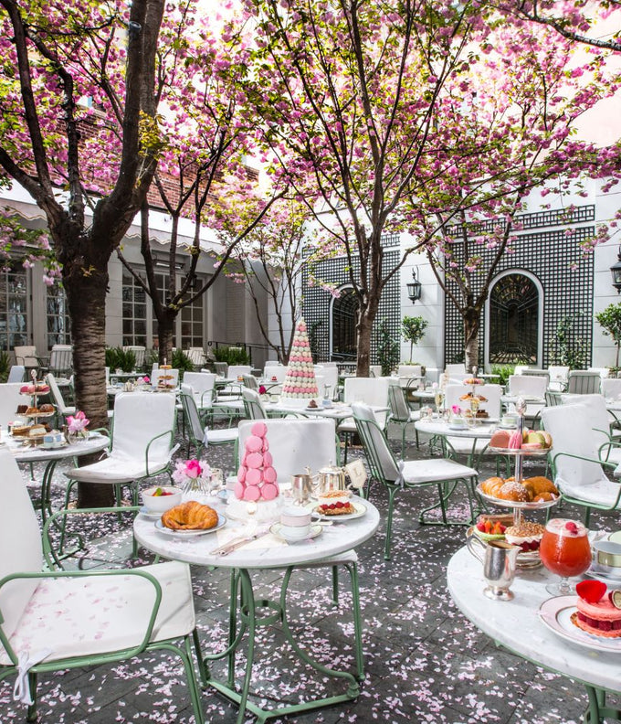 Ladurée Champs-Elysées