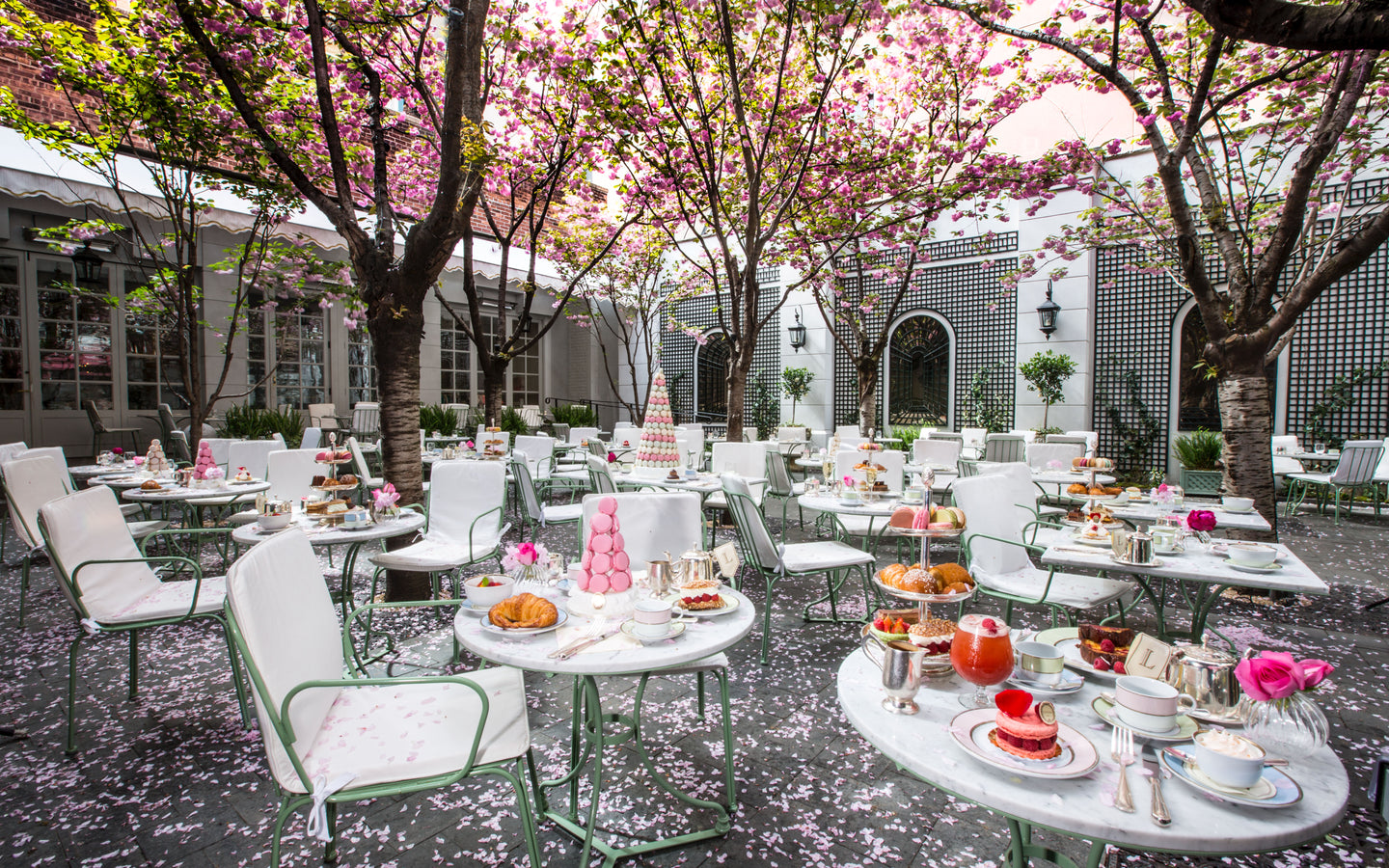 Ladurée tea time