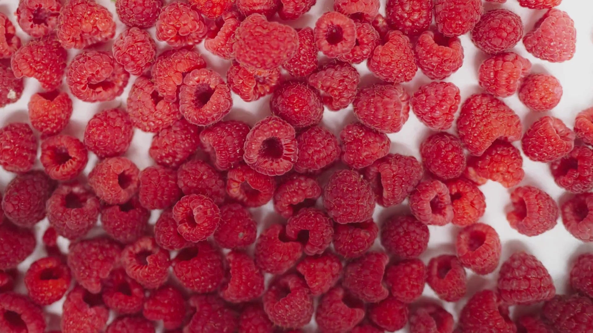 Ispahan making video