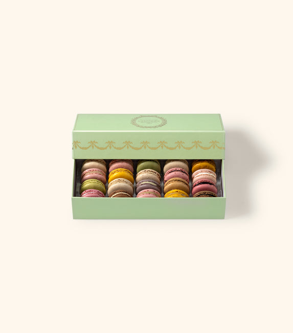 "Intemporel" 20 macarons gift box - green