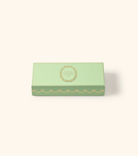"Intemporel" 20 macarons gift box - green