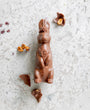 « LALA » the bunny - Milk chocolate & peanuts
