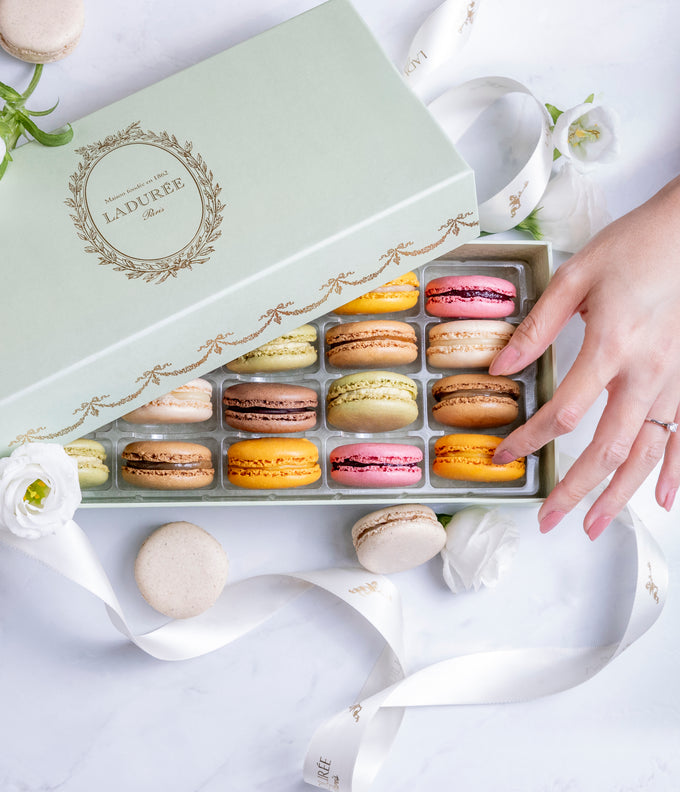 Intemporel green macarons box with a hand