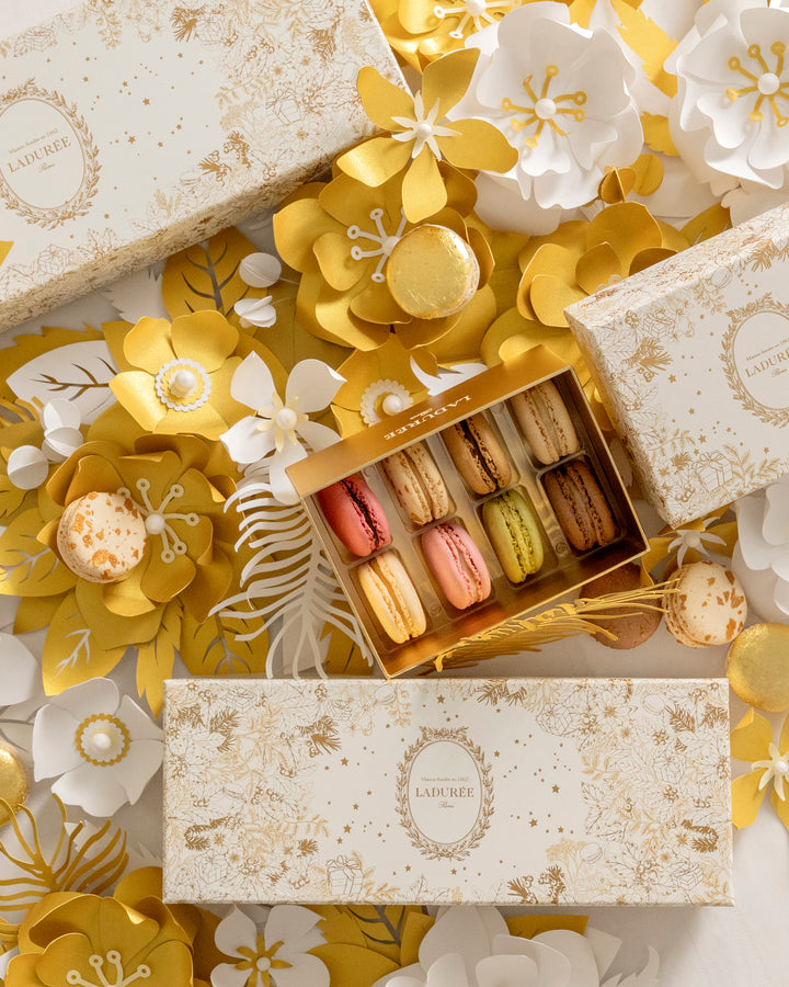 "The Magical Garden" 8 macarons gift box