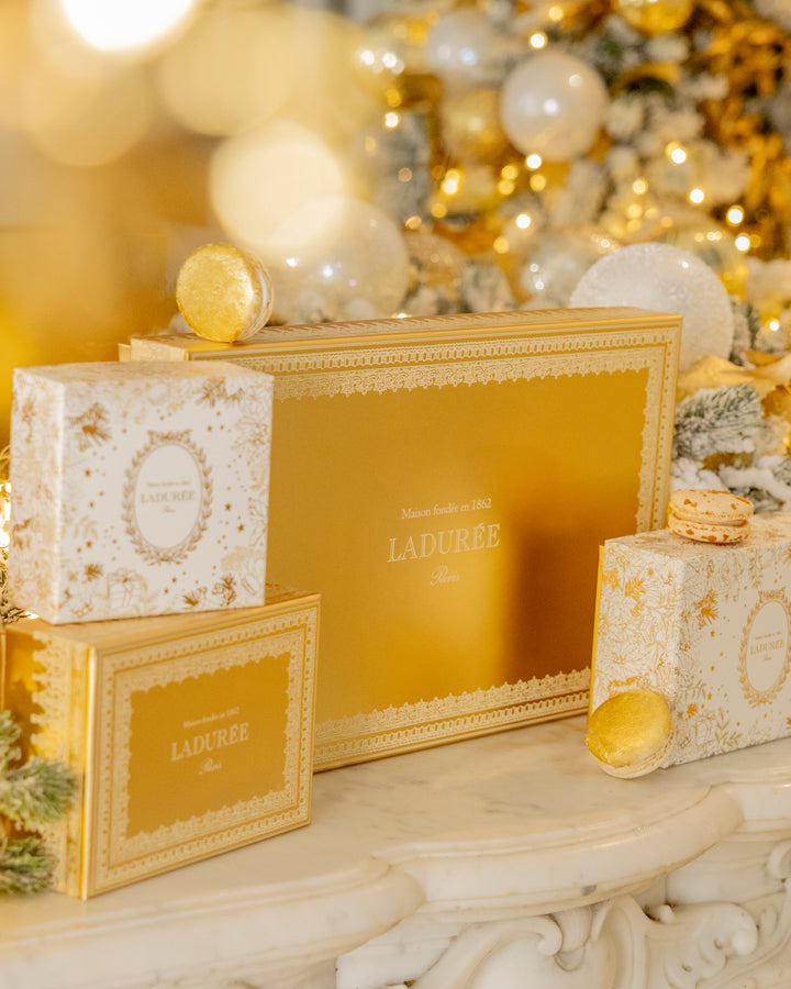 "The Magical Garden" 28 macarons gift box