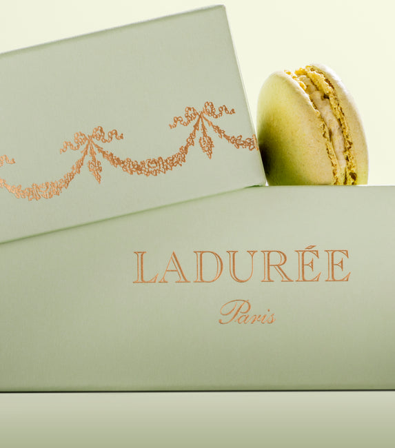 "Intemporel" 20 macarons gift box - green