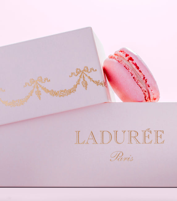 "Intemporel" 15 macarons gift box - pink