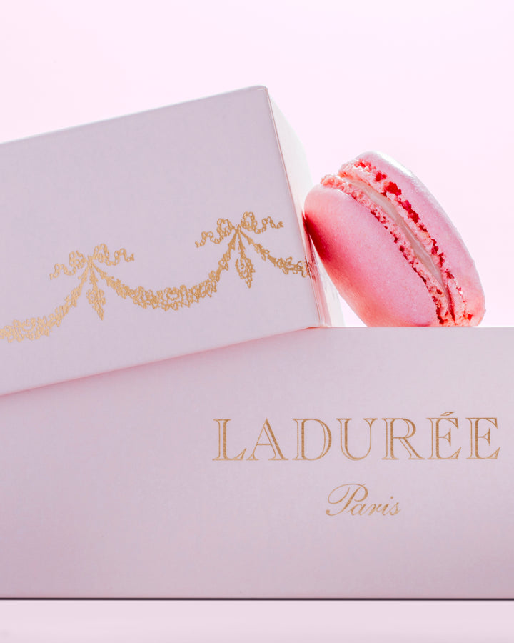 Coffret de 12 macarons "Intemporel" - rose