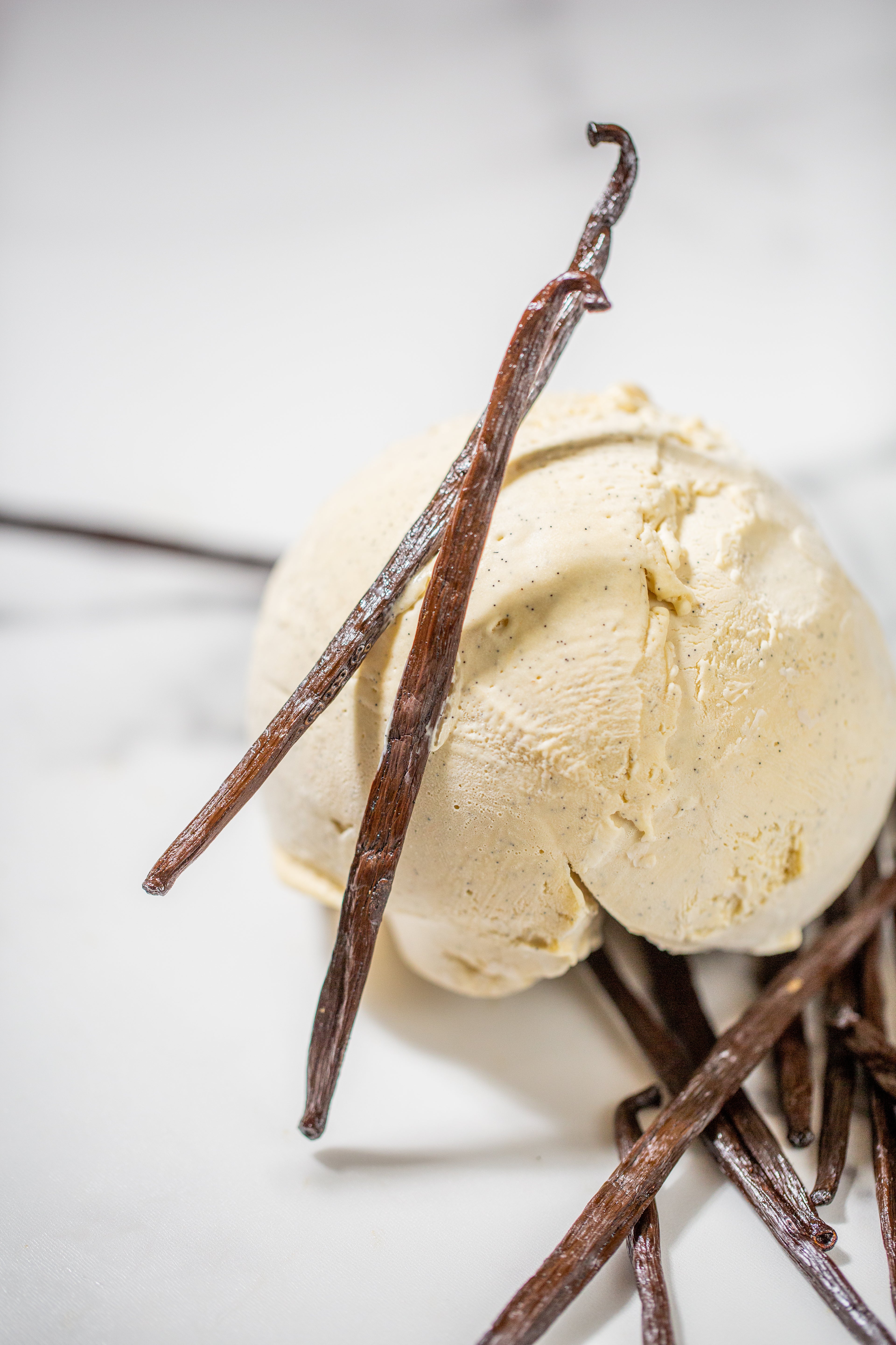 Frozen Delivery - Vanilla & Raspberry Ice Creams | La Maison Ladurée