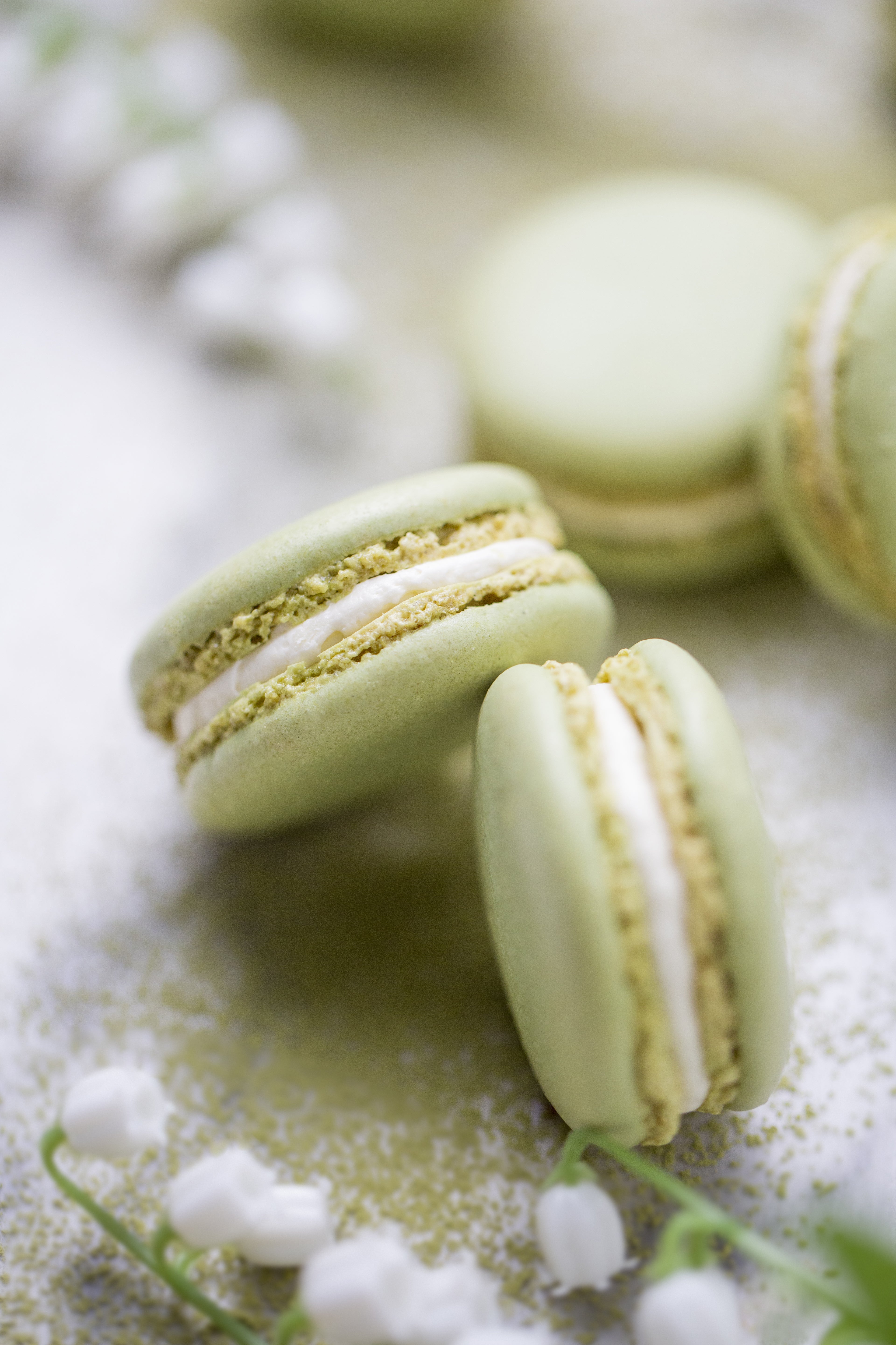 Ladurée Macarons ラデュレ マカロン レシピ　コレクション一覧 Ladurée Macarons ラデュレ マカロン レシピ コレクション一