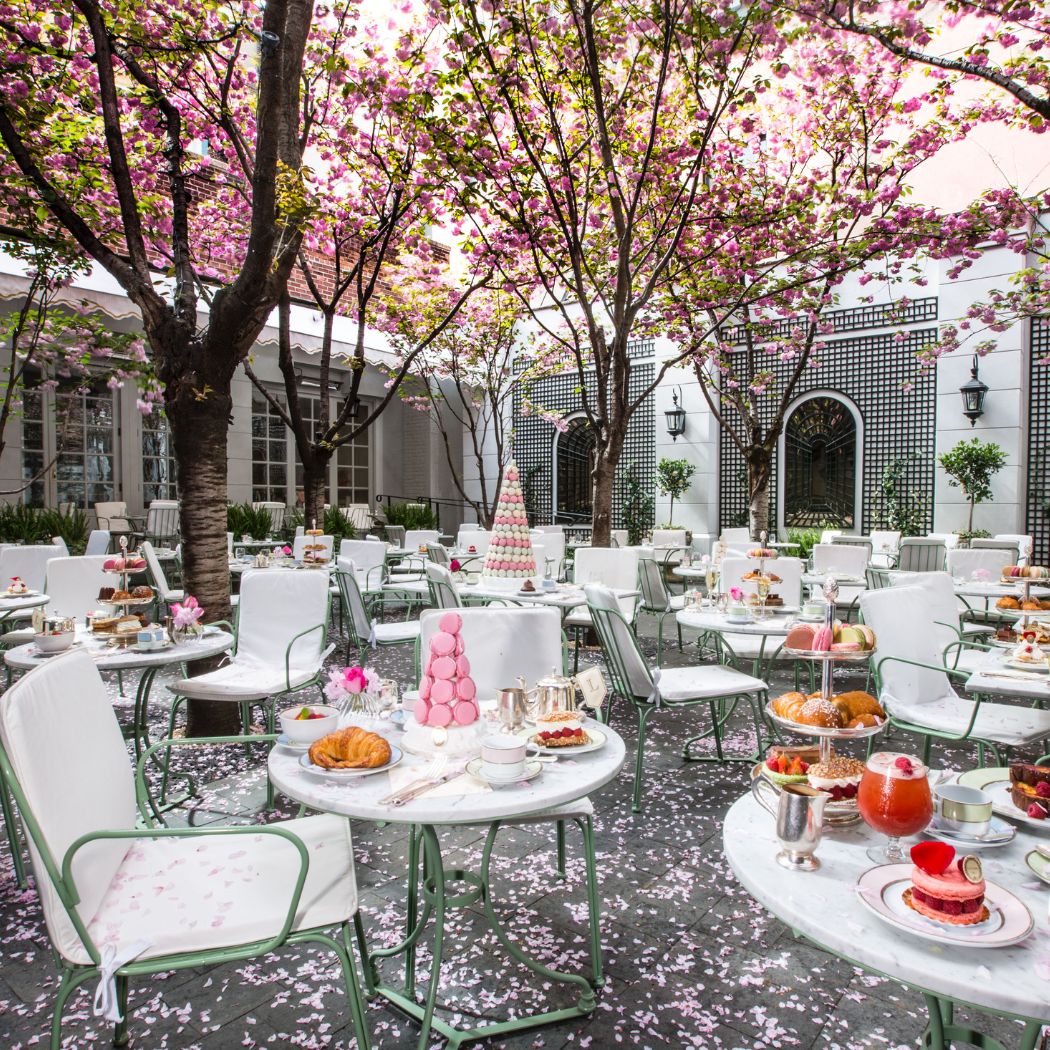 Ladurée New York Soho