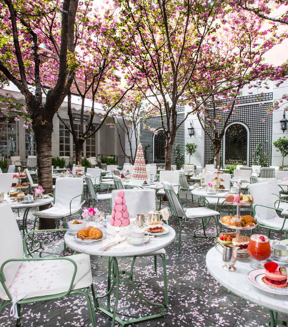 Laduree Bakery